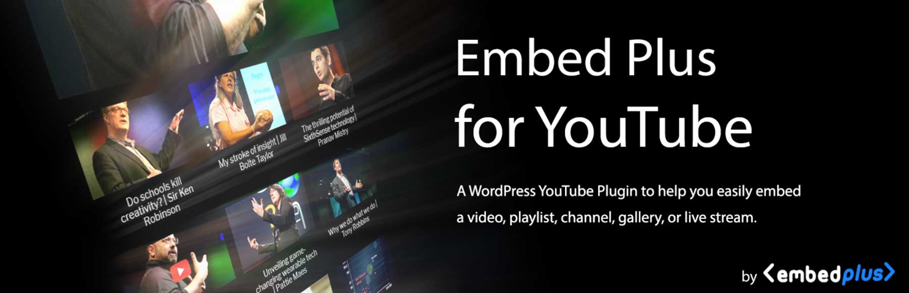 Pluginul Embed Plus pentru YouTube