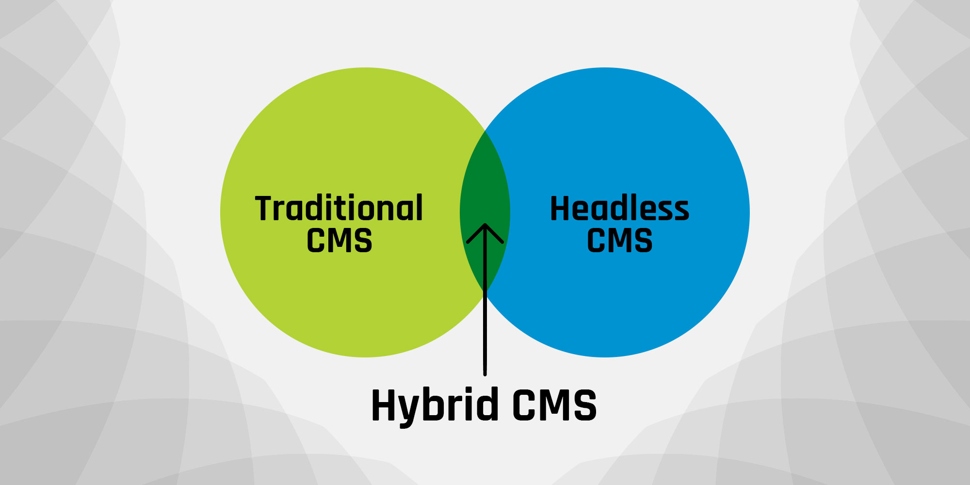 하이브리드 CMS