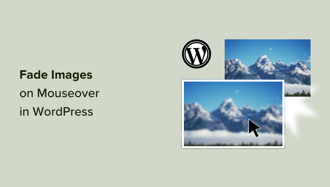 Cara memudarkan gambar pada gerakan mouse di WordPress How to fade images on mouseover in WordPress