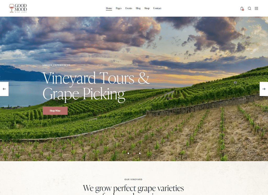 Buon umore - Tema WordPress per enoteca