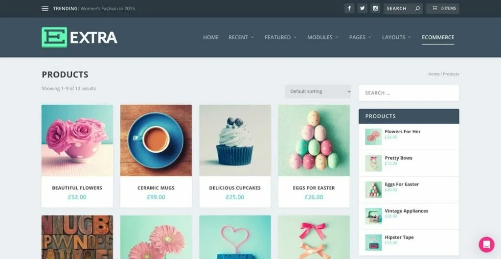 extra - mejores temas de woocommerce