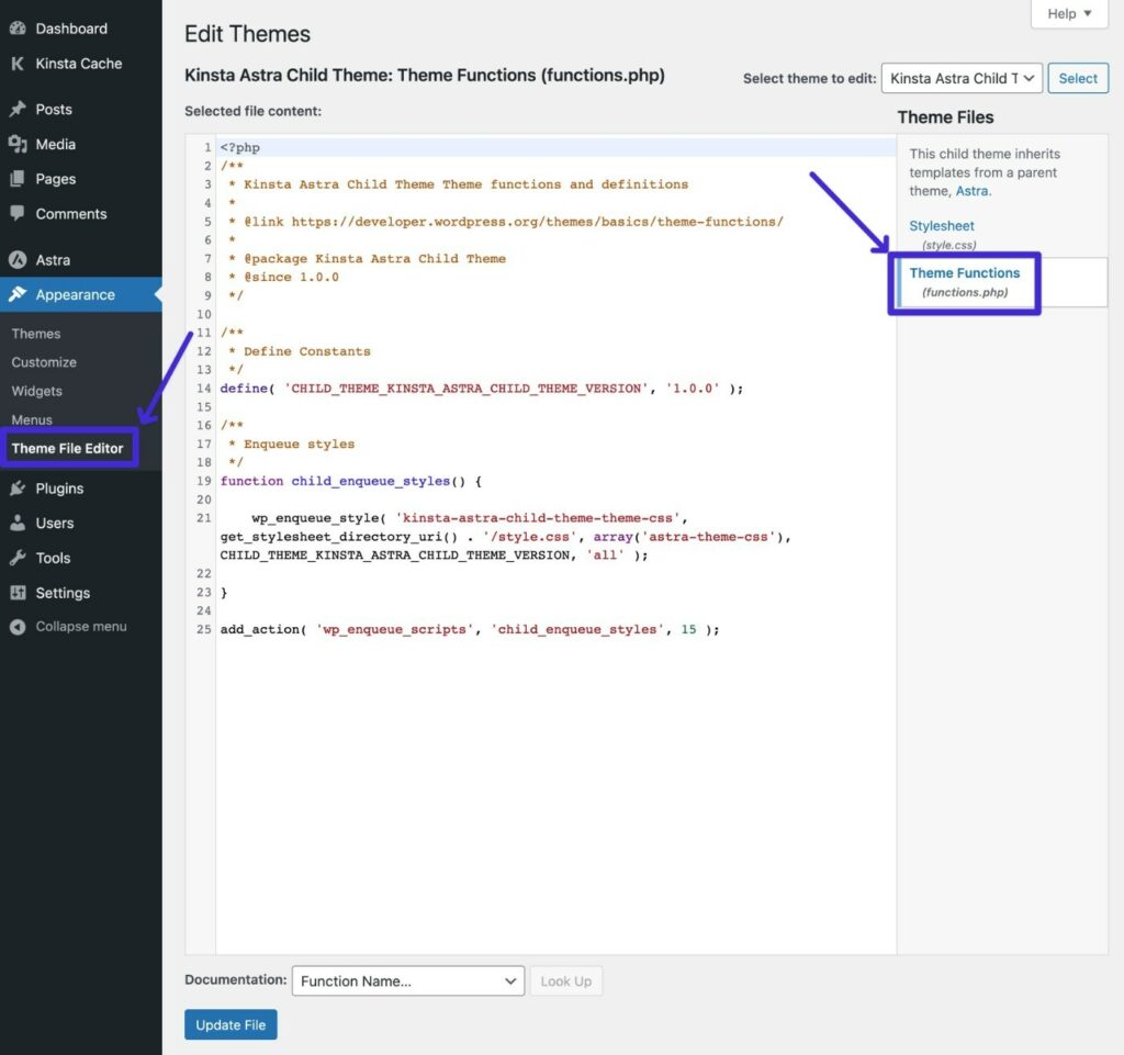 Functions.php dosyasını WordPress panonuzdan nasıl düzenleyebilirsiniz.