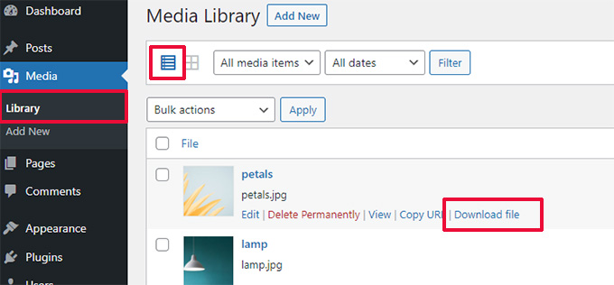 Medya dosyaları için indirme bağlantısı Download link for media files