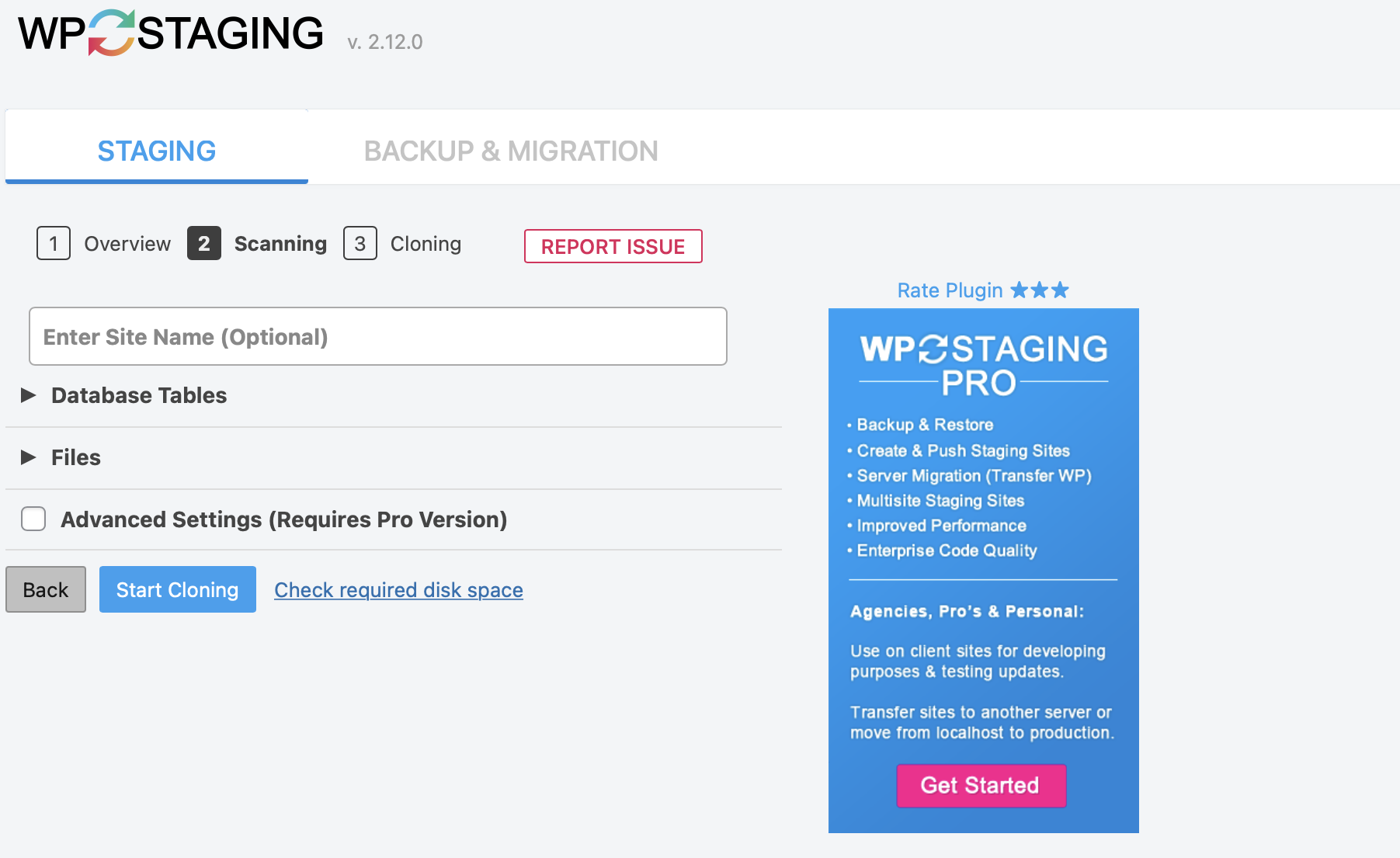 настройки плагина WP Staging