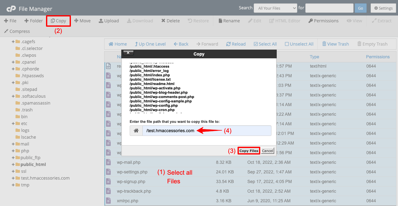 Copy all files from Public_html to paste on your clone site