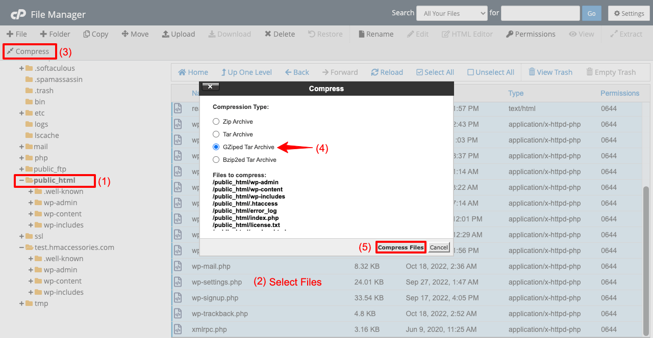 Come clonare un sito WordPress in 3 diversi metodi 6 Download files from the directory of original site to clone the website on a different server