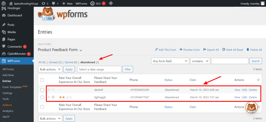 WPForms フォームの放棄されたエントリ