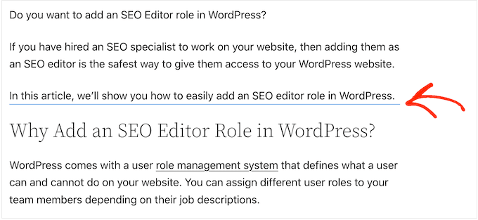 Un séparateur personnalisé créé à l'aide de l'éditeur de blocs WordPress A custom divider created using the WordPress block editor