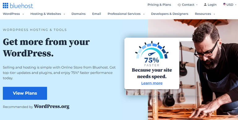 Bluehost WordPress 호스팅