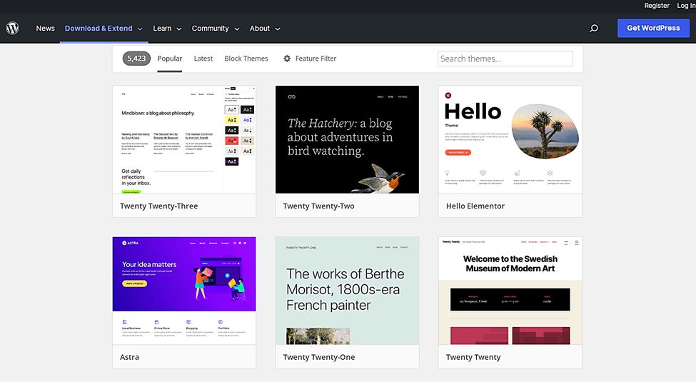 cuanto cuesta construir un sitio web wordpress - Temas