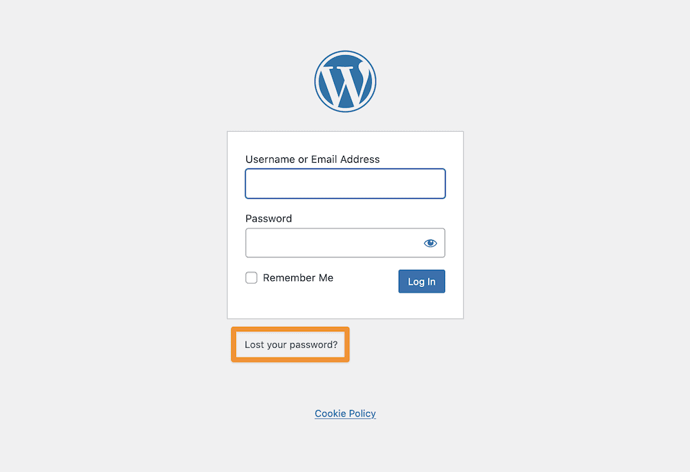 Страница входа в WordPress с надписью Забыли пароль? ссылка выделена.