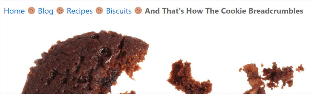 Pagina web con breadcrumb personalizzati.