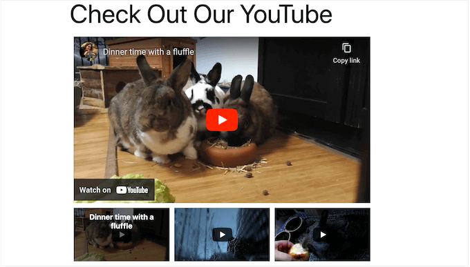 youtubegalleryesempio SeedProd YouTube video gallery example