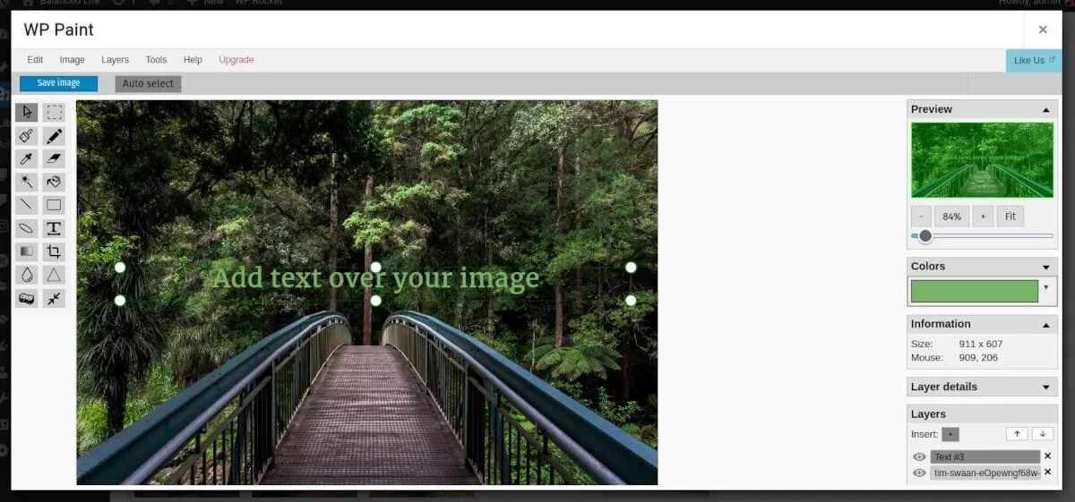 อินเทอร์เฟซ WP Paint