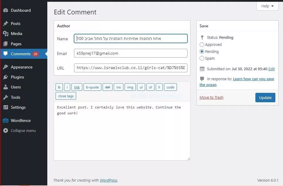 comment_author_link_on_wordpress