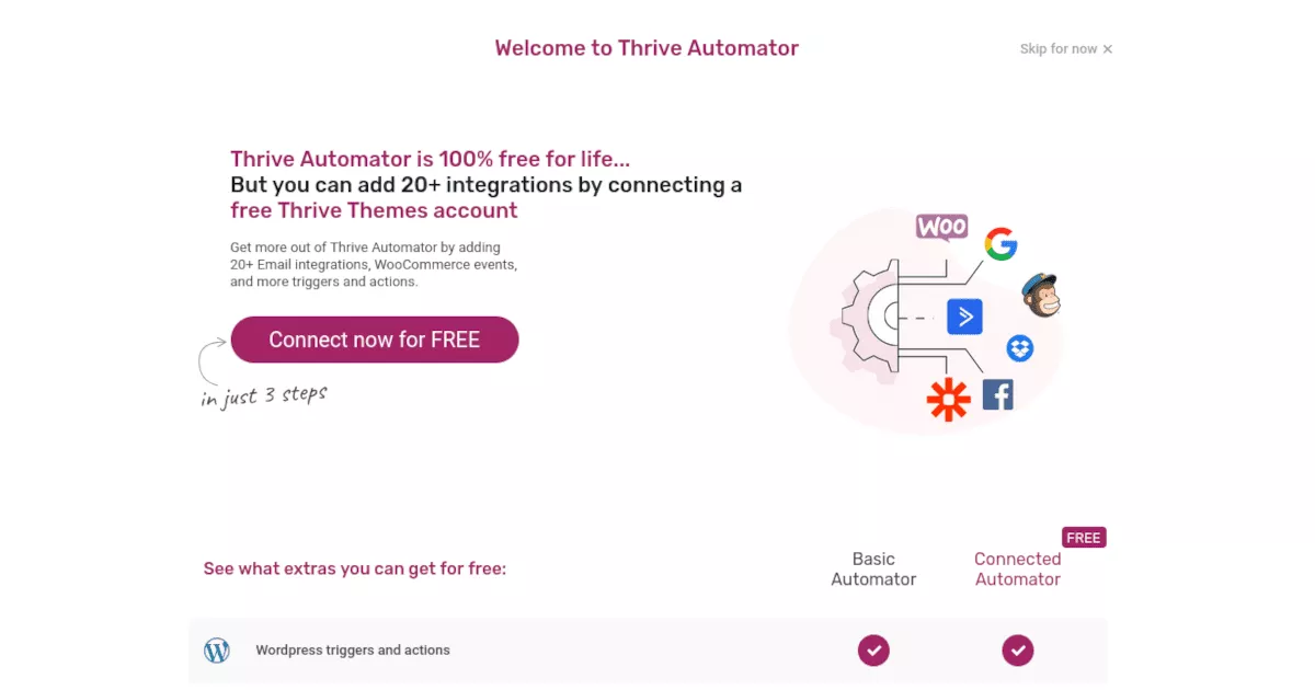 Thrive Automator-Dashboard