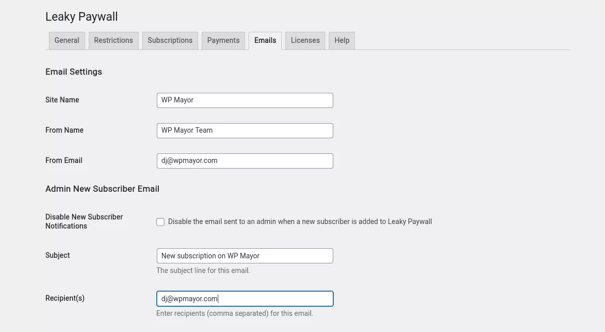Screenshot des Leaky Paywall-Menüs