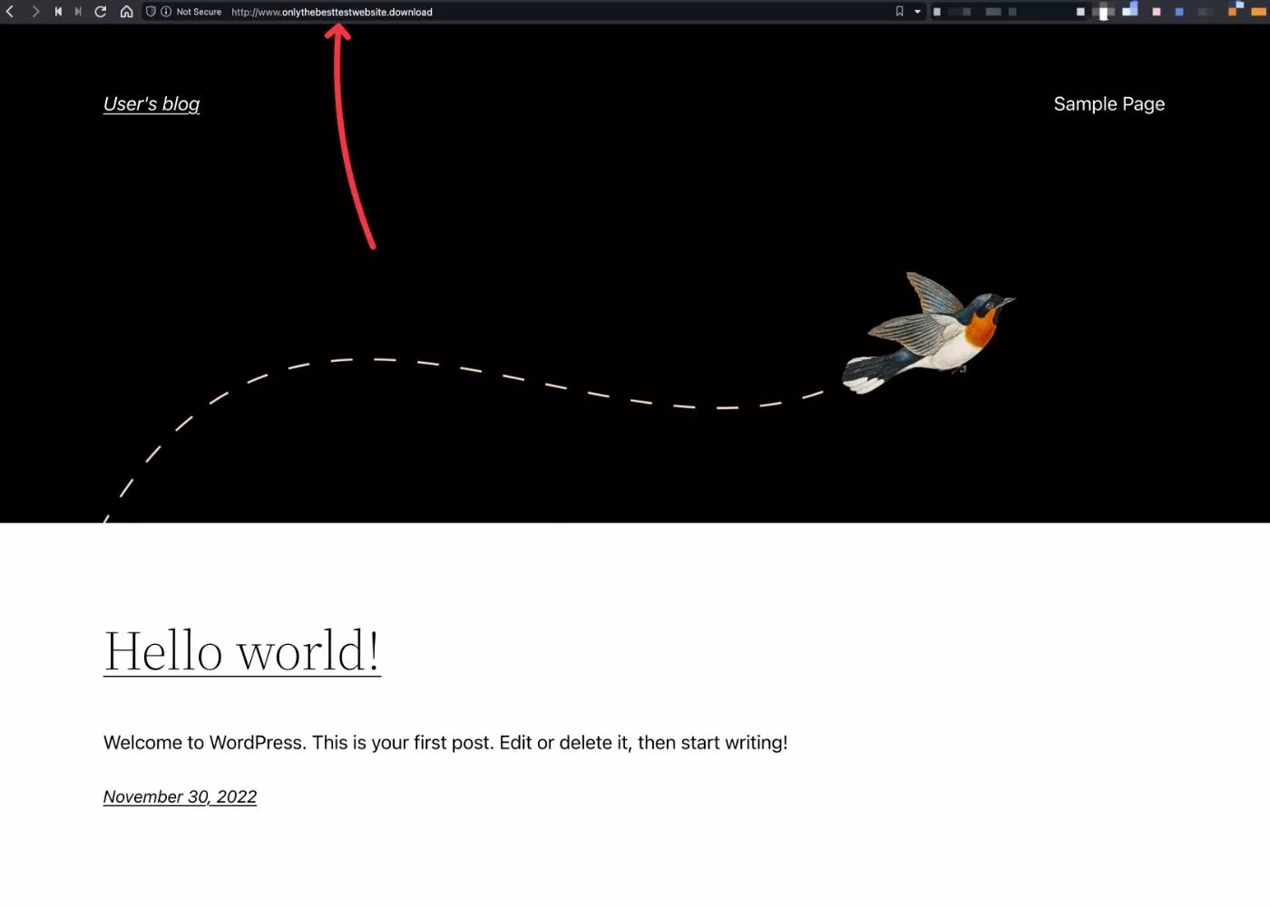 具有自定義域的 WordPress 站點