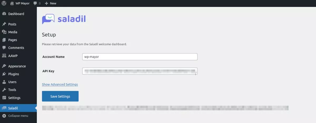 captura de pantalla del menú Saladil en WordPress