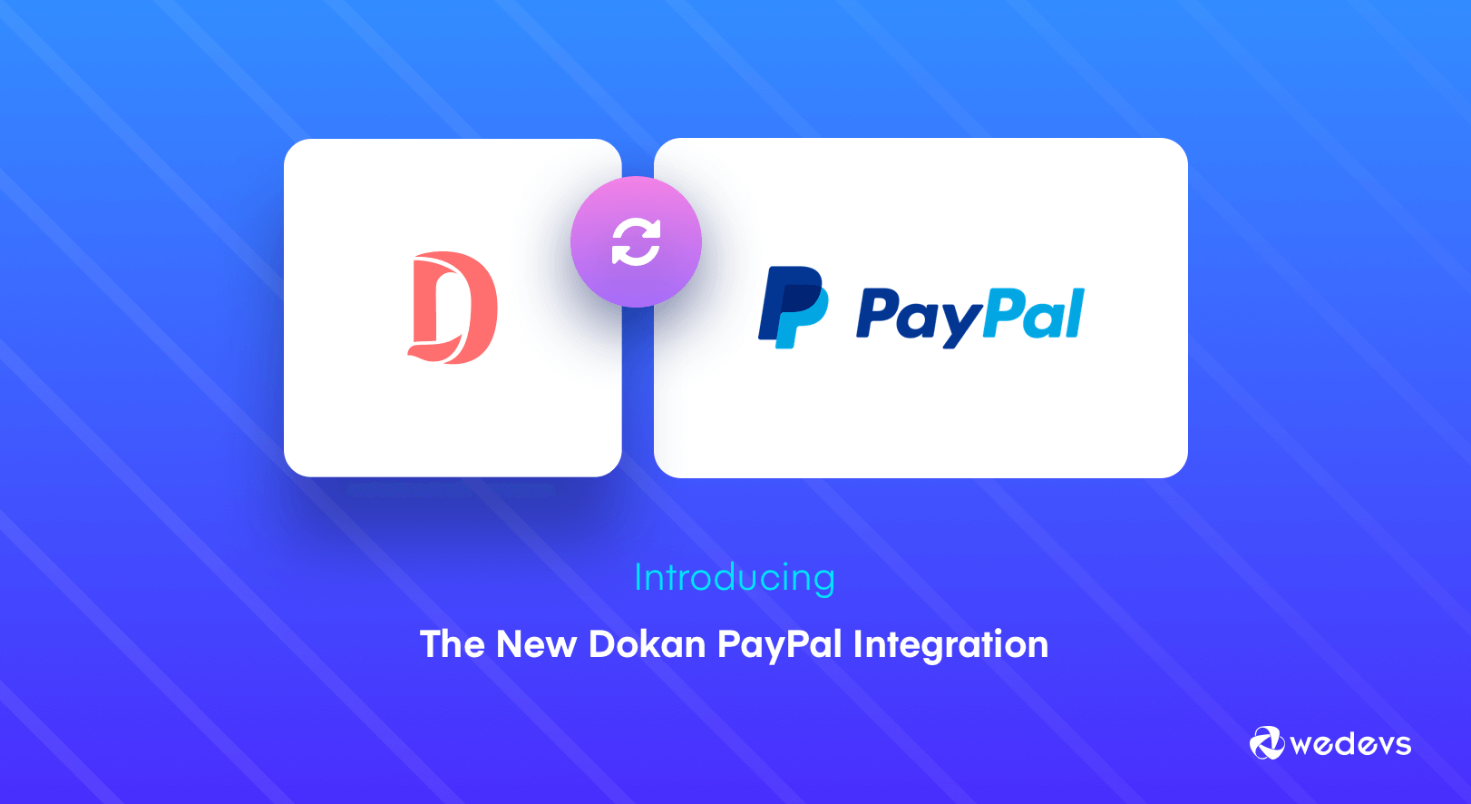 Dokan PayPal の統合: マーケットプレイスの所有者として、柔軟性があなたのものになりました! Dokanの主な機能