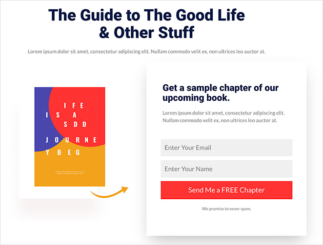 пример SeedProd squeeze page example