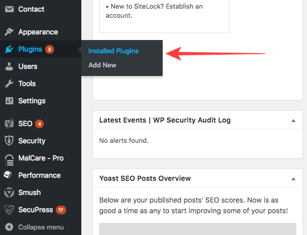 WordPress 安全错误