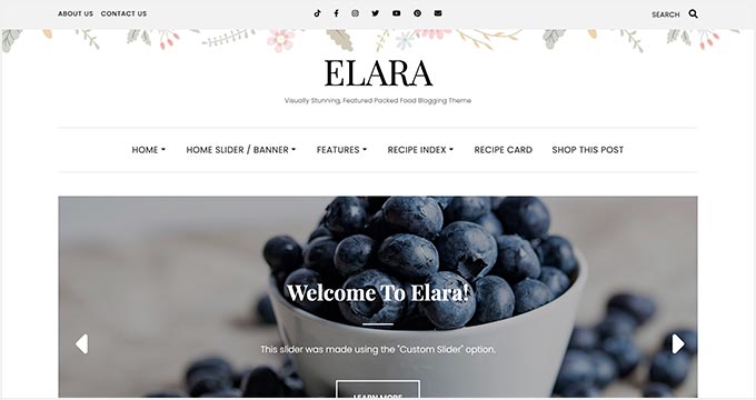 Elara Elara Pro