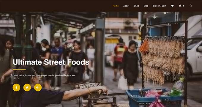 OceanWP OceanWP Recipe Blog Theme