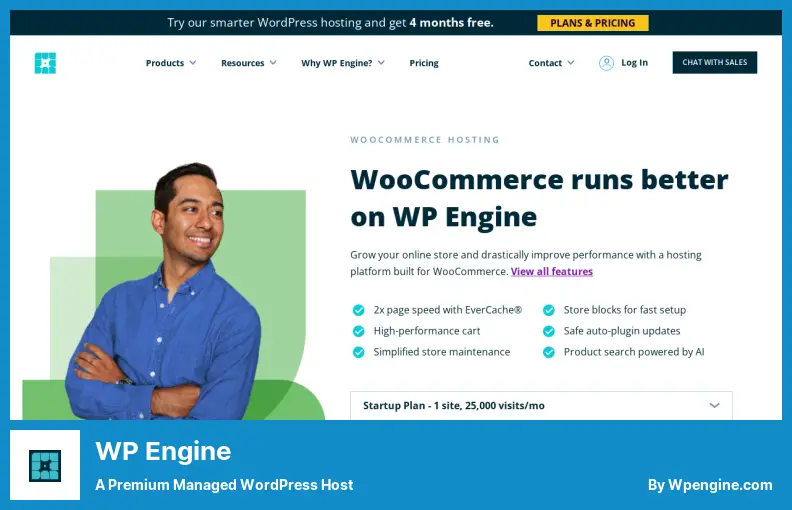 Mesin WP - Host WordPress Terkelola Premium