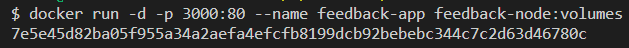 Screenshot: finestra del terminale dopo l'esecuzione del comando docker run con l'archiviazione del volume.