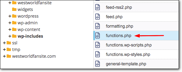 function.php filezilla