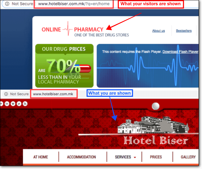 malware wp-feed