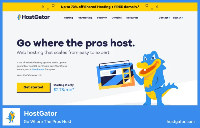 Hostgator - Terbaik untuk Hosting Berorientasi Kinerja untuk Proyek RoR Kecil