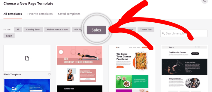 Temukan templat halaman penjualan di WordPress