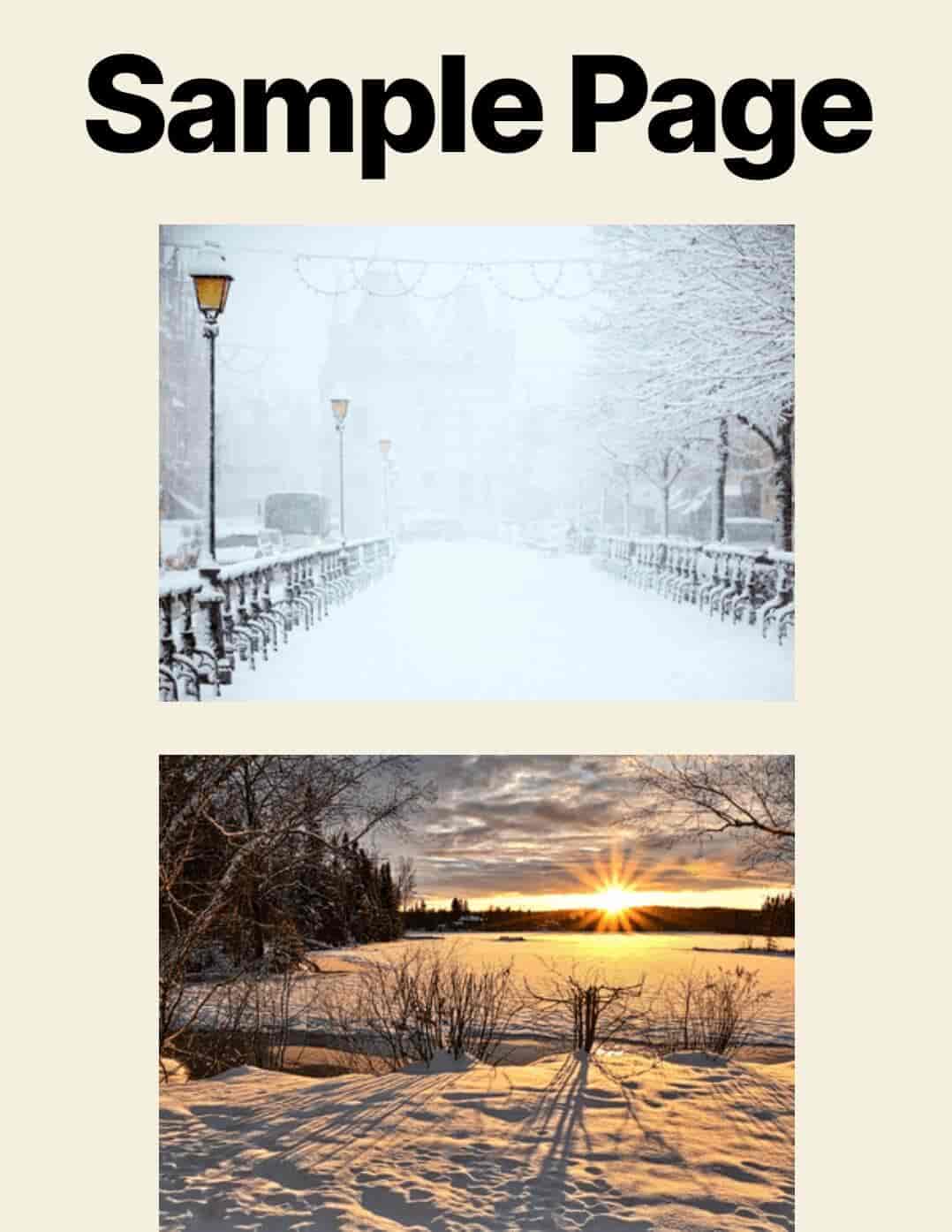 Pagina semplice