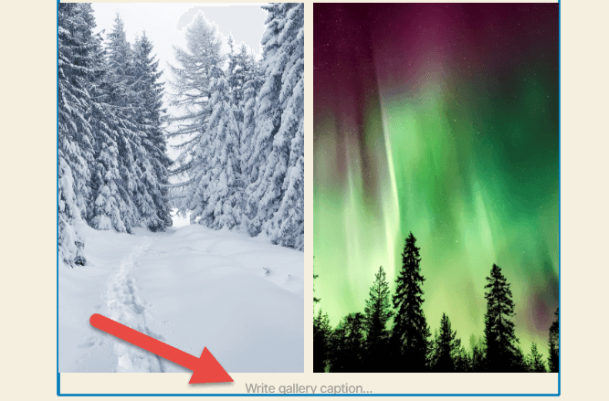 Come creare una galleria in WordPress: Blocco galleria selezionato con una freccia rossa che punta verso l'area "Scrivi didascalia galleria" nella parte inferiore del blocco