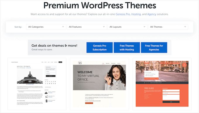 프리미엄 WordPress 테마 마켓플레이스의 예 An example of a premium WordPress theme marketplace