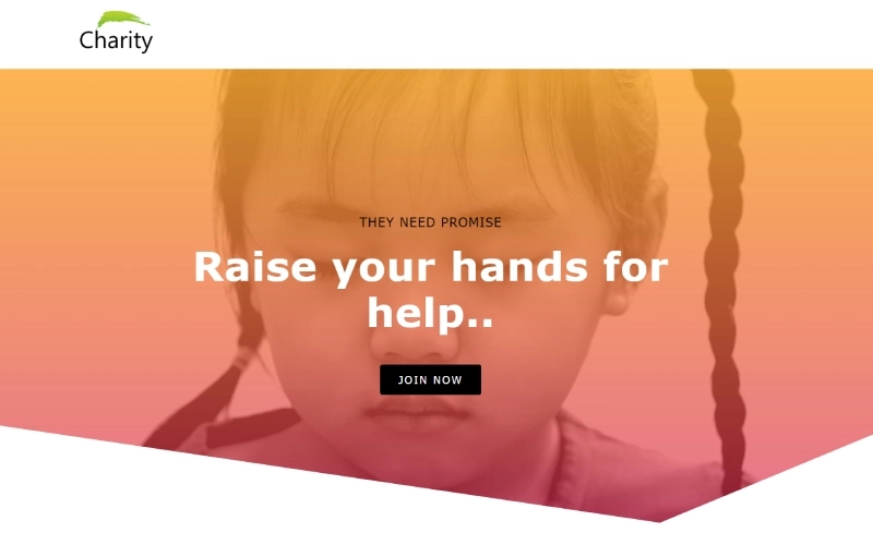 9+ 最佳教堂 WordPress 主题(免费和付费)2 Zita charity