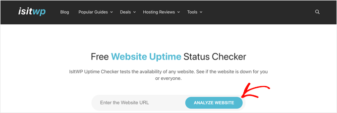 IsItWP 正常运行时间检查器工具 IsItWP Uptime Checker Tool