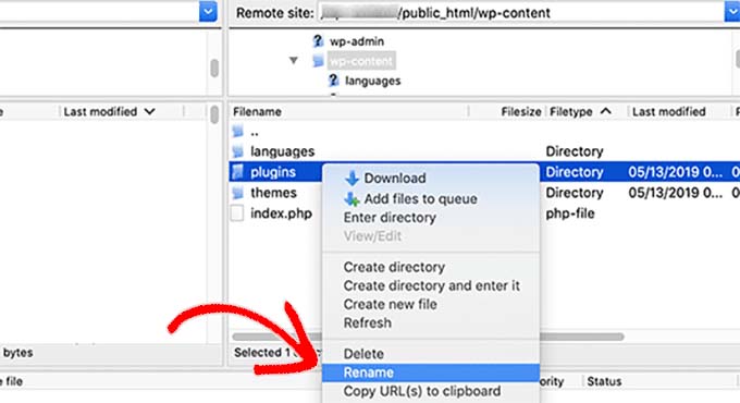 重命名插件文件夹 Rename plugins folder