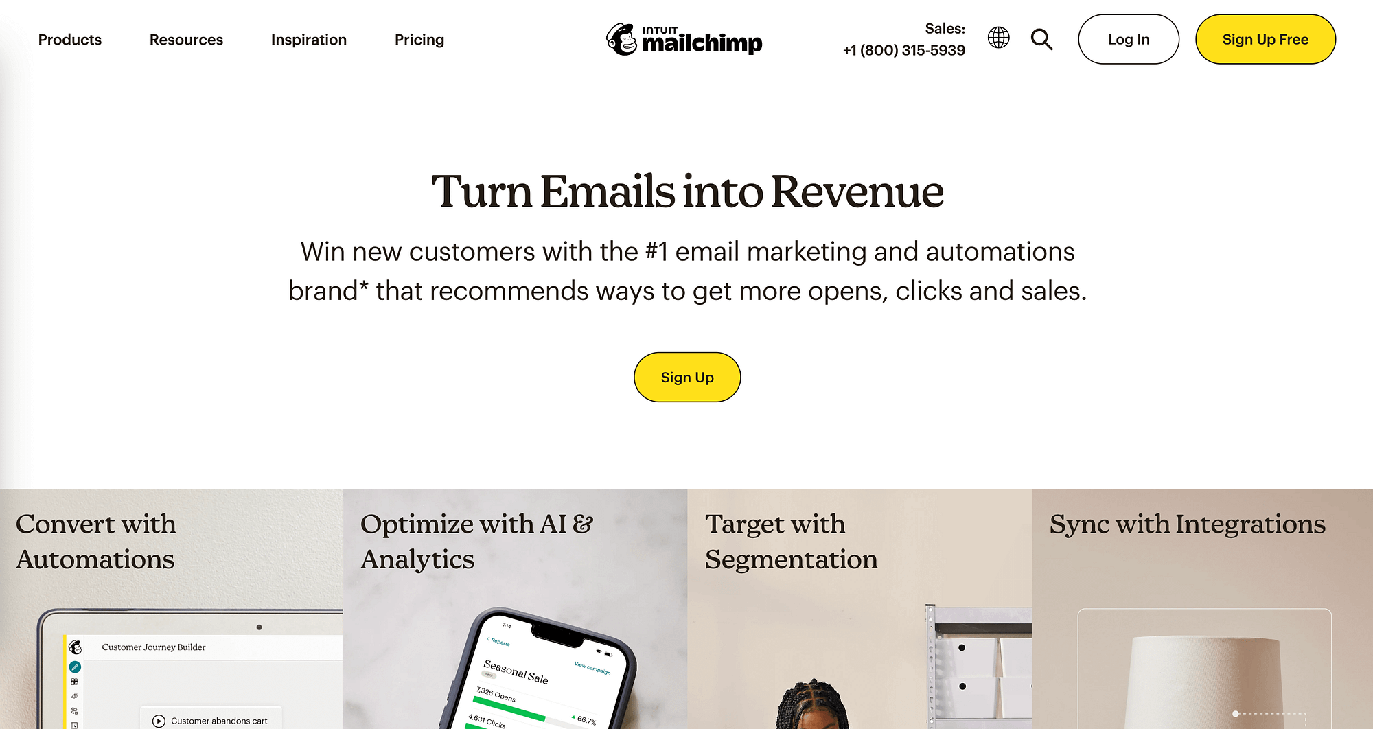 Nombre de dominio vs URL Mailchimp