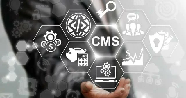 sistema de gestión de contenidos- Diseño Web 101