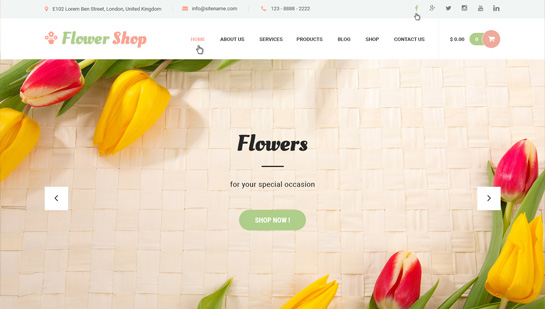 tienda de flores tema de WordPress