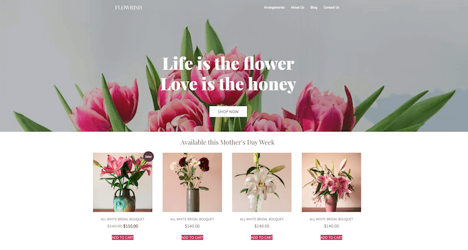 使用 SeedProd 安装的网站入门工具包示例 An example of a website starter kit, installed using SeedProd