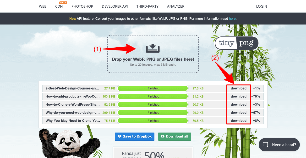 Come ottimizzare le immagini per il Web e le prestazioni (tutto ciò che devi sapere) 2 How to Compress Images with TinyPNG