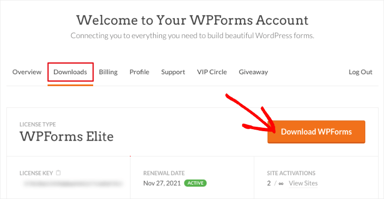 descargarwpforms - IsItWP - Detector de temas de WordPress gratuito downloadwpforms