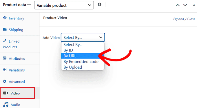 Comutați la fila Video și alegeți opțiunea După URL din meniul drop-down Switch to the Video tab and choose By URL option from the dropdown menu
