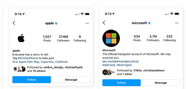 Saggezza della folla Prova sociale - Apple e Microsoft