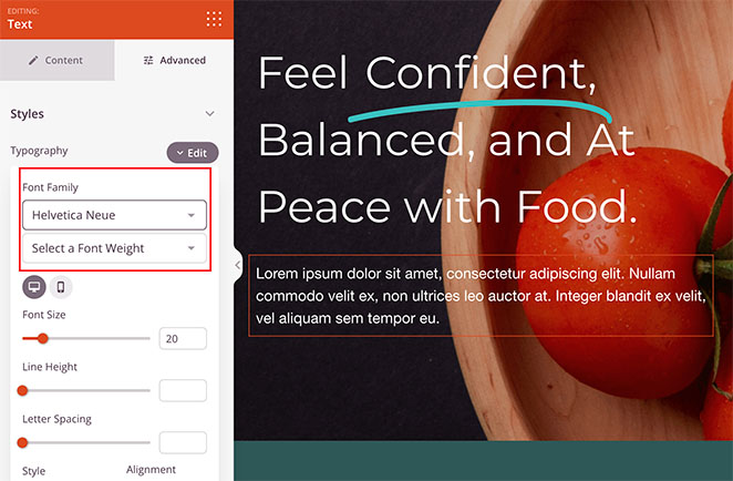changefontfamilyseedprod SeedProd Change your font family with SeedProd