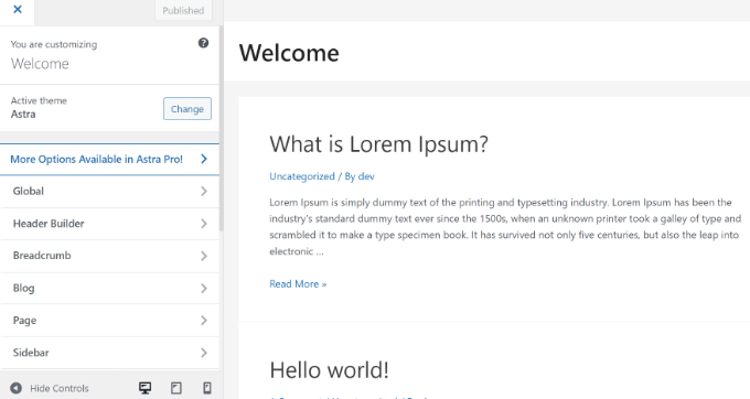 Personnalisateur de thème WordPress (vue de bureau) View options in theme customizer